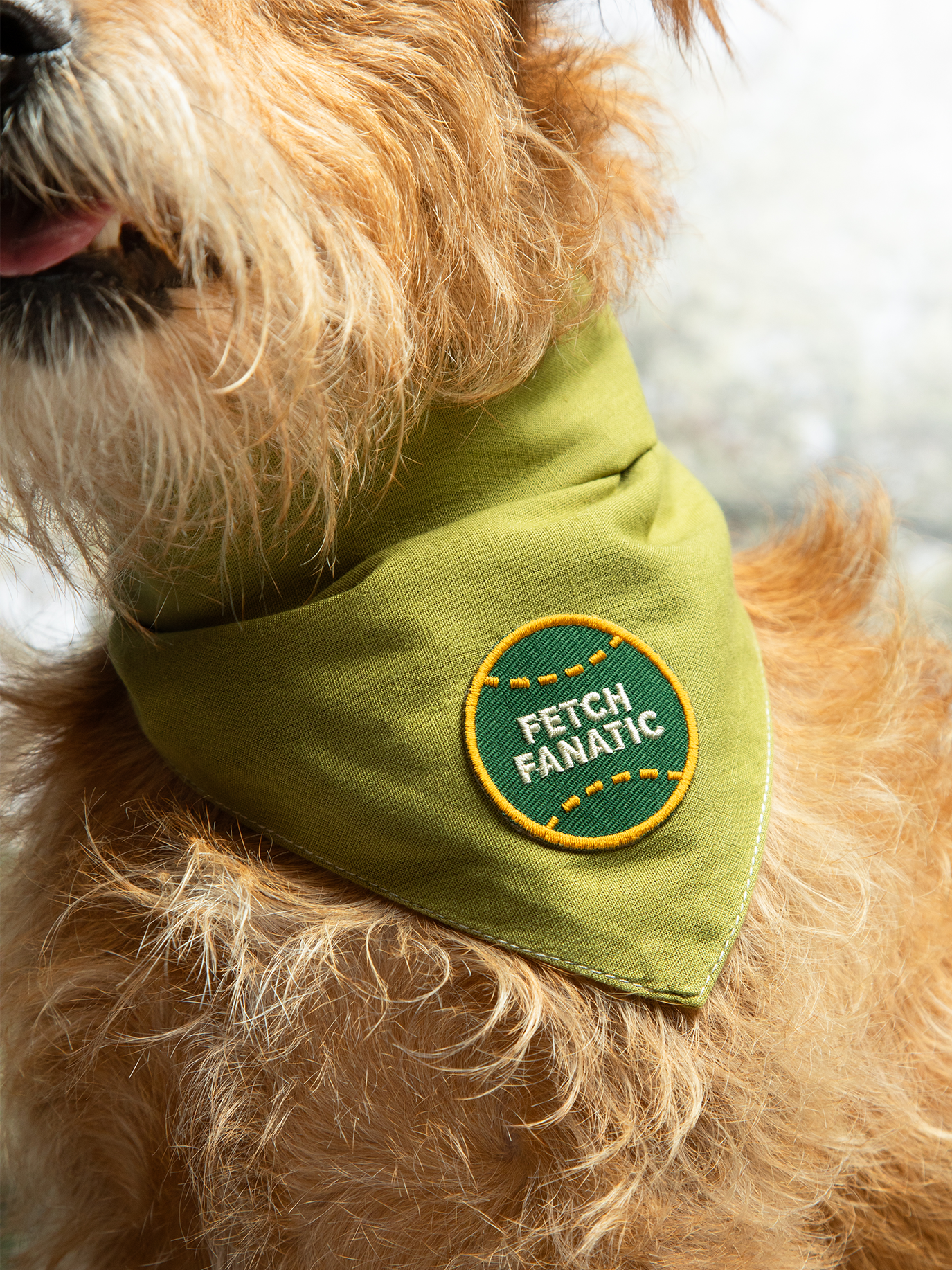 Scout's Honour | Fetch Fanatic | Iron-on patch for pets