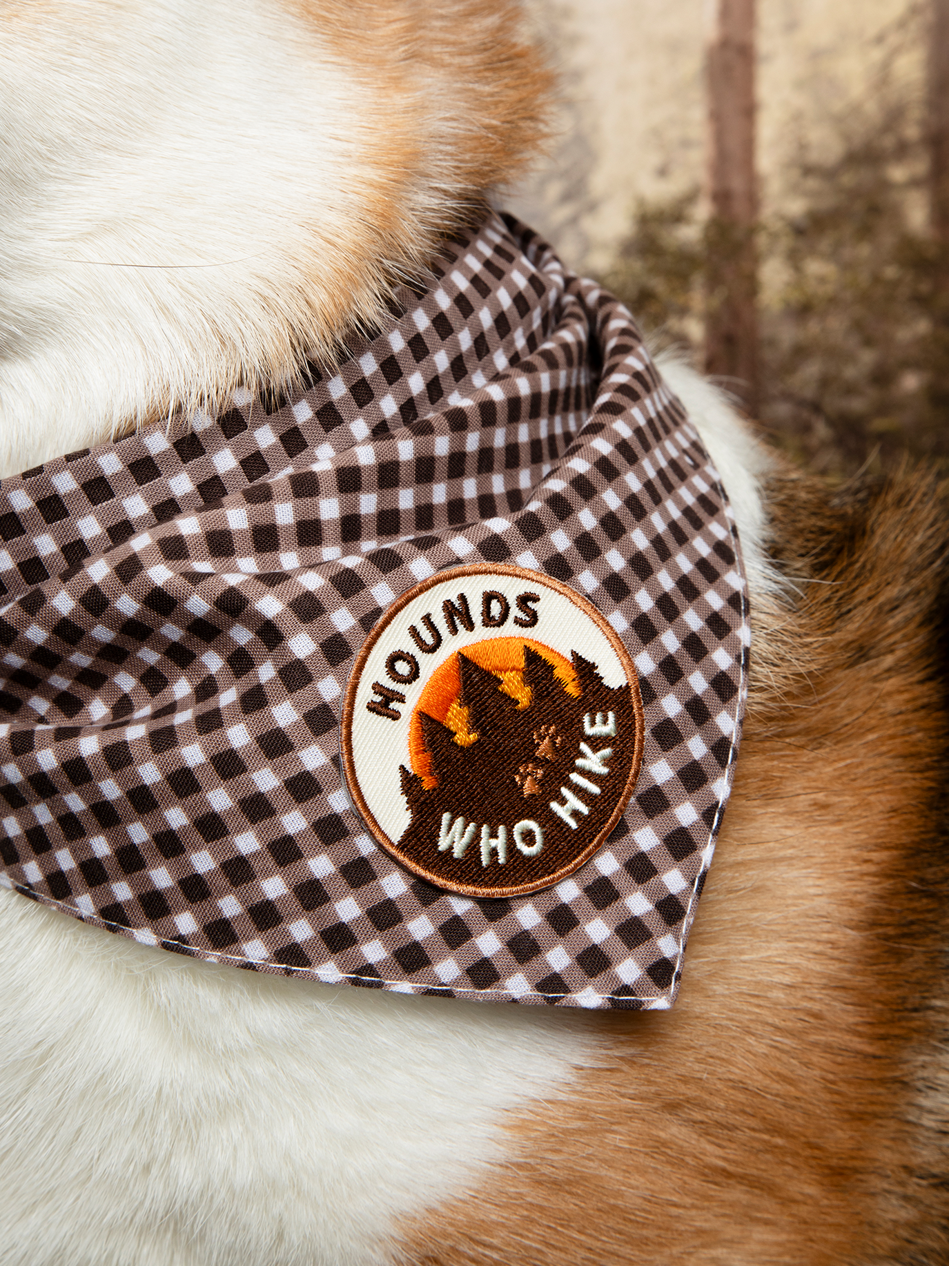 Scout's Honour | Hounds Who Hike | Iron-on patch for pets
