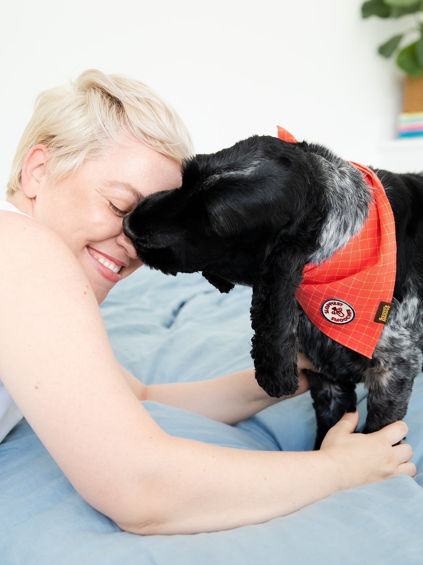 We Moved Scout’s Honour Across the World (and I Momentarily Lost My Sanity)