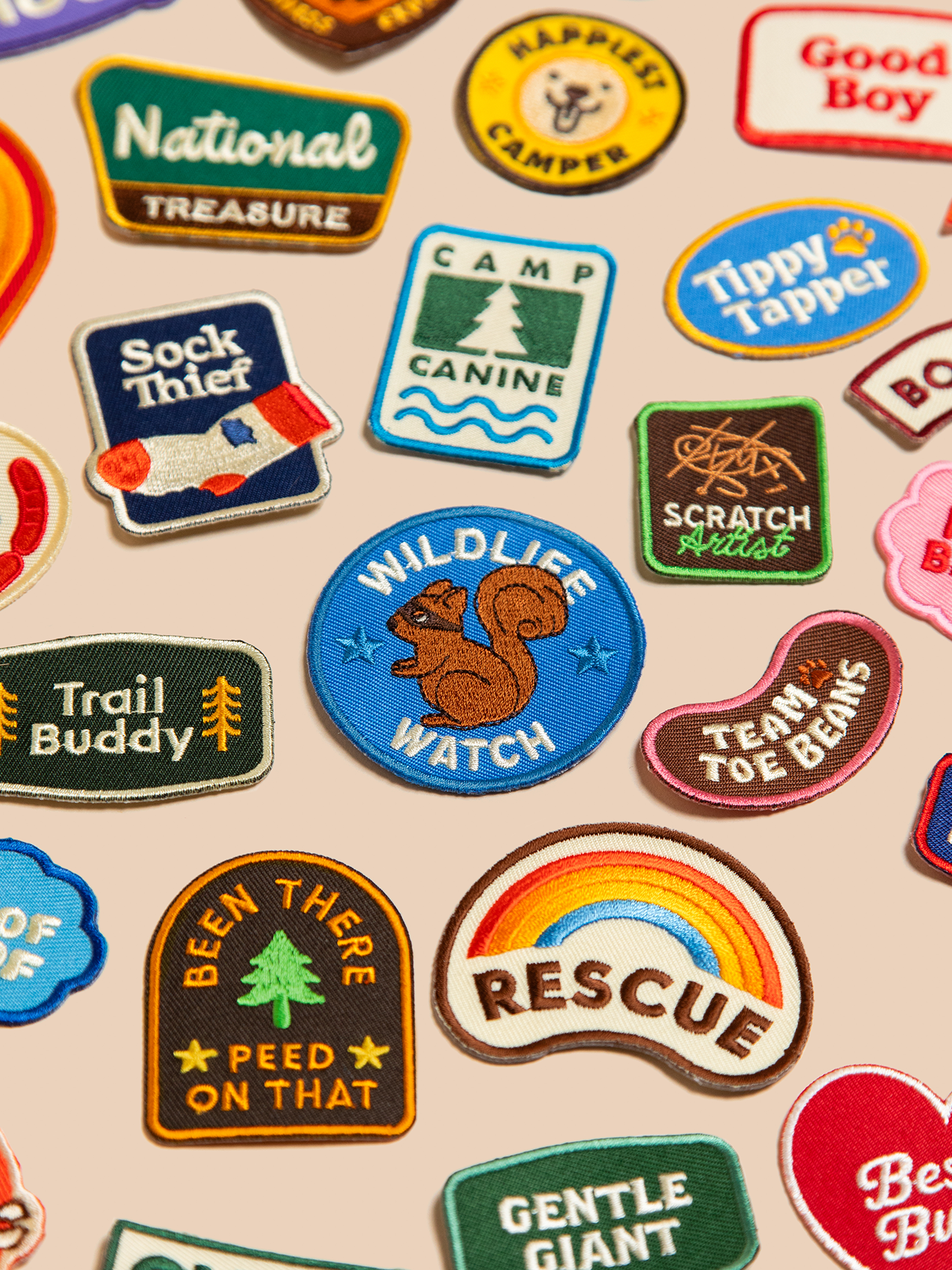 Badge of Honour: What Your Dog’s Patches Really Say