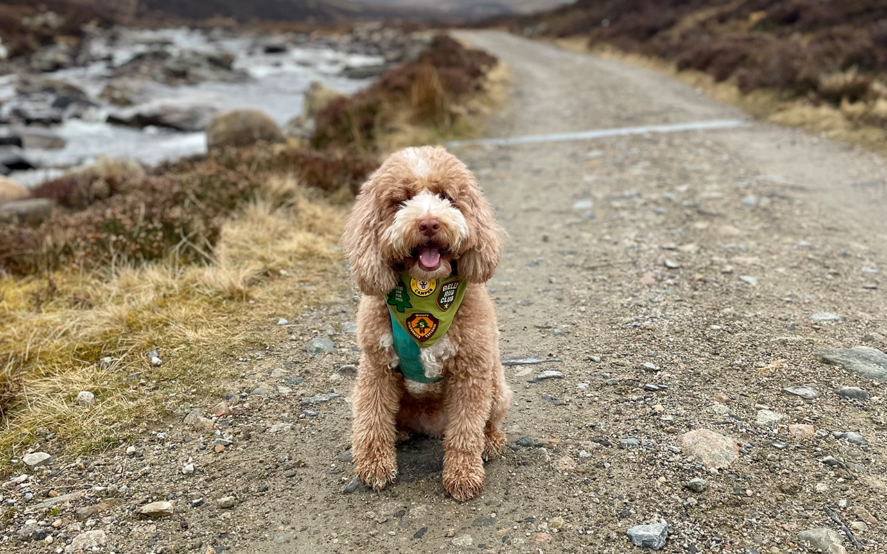 Meet Winston - Our Scout Of The Month