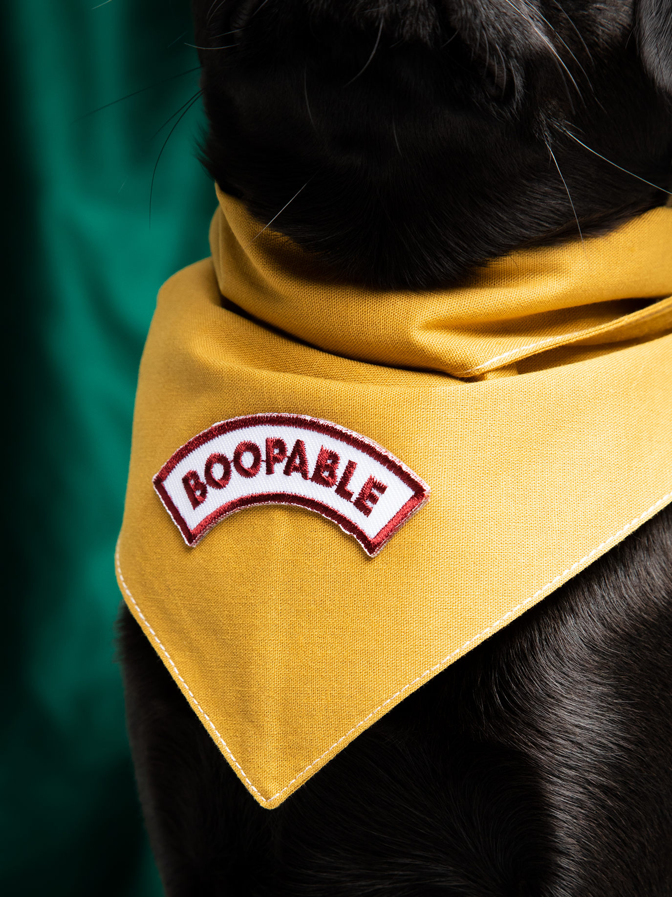 Scout's Honour | Woofy Wilderness Explorer | Iron-on patch for pets