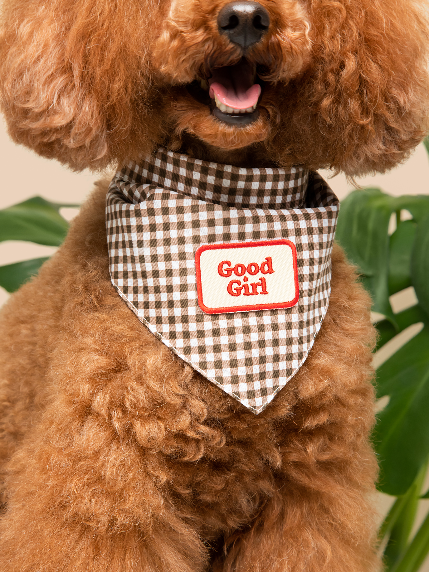 Good hot sale girl dog