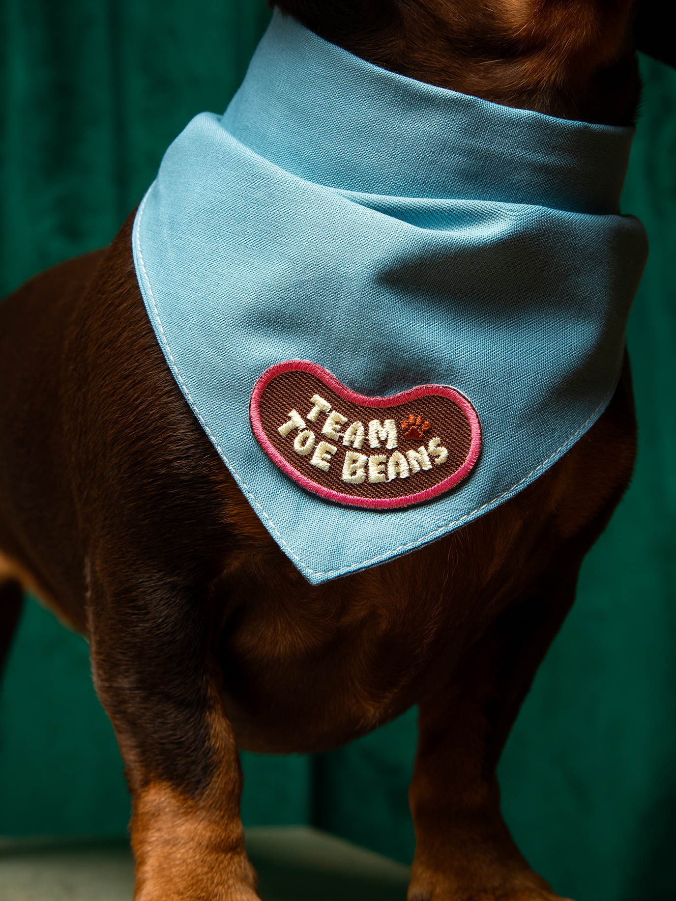 Scout's Honour & Team Toe Beans | Iron-on patch for pets