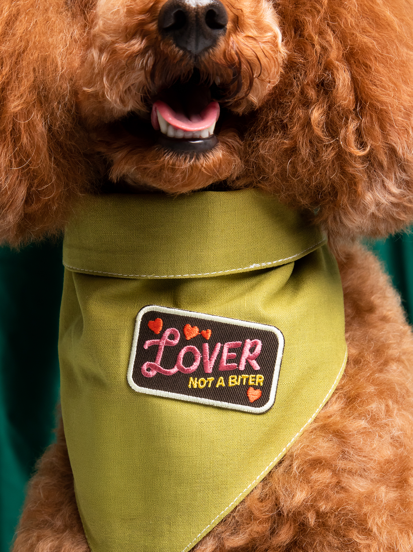 Scout's Honour | National Treasure | Iron-on patch for pets