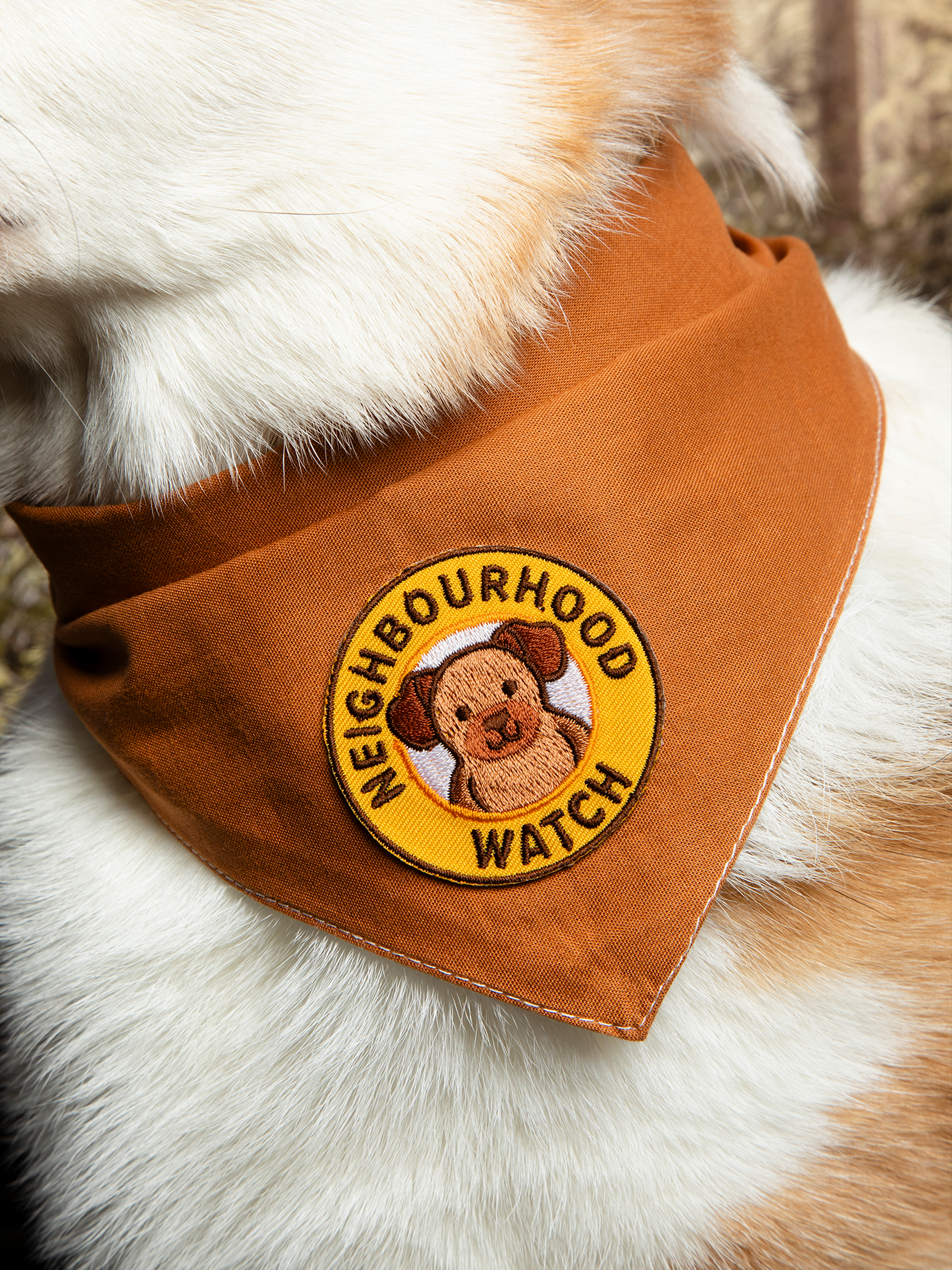 Scout's Honour | Woofy Wilderness Explorer | Iron-on patch for pets